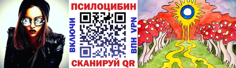 Псилоцибиновые грибы мицелий  наркошоп  Черногорск 