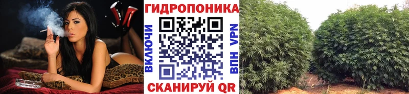 хочу   Черногорск  OMG маркетплейс  Марихуана LSD WEED 